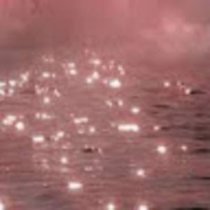 Meet your Posher, Jan